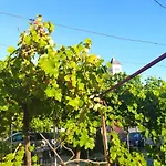 Apartament Adria *