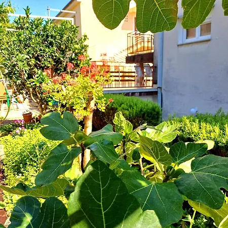 Apartment Adria *